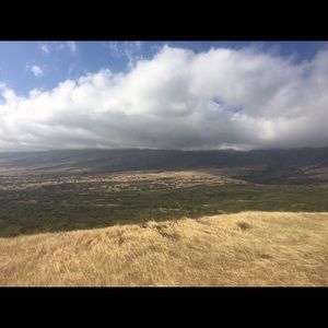 Meet your Posher, Blake