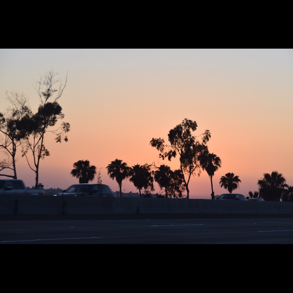 Meet your Posher, Leslie