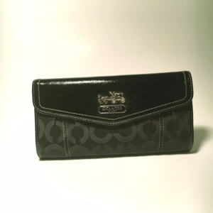 Coach Accordion Zip Wallet In Signature Canvas