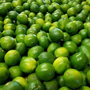 Meet your Posher, Shelley