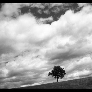 Meet your Posher, Bree