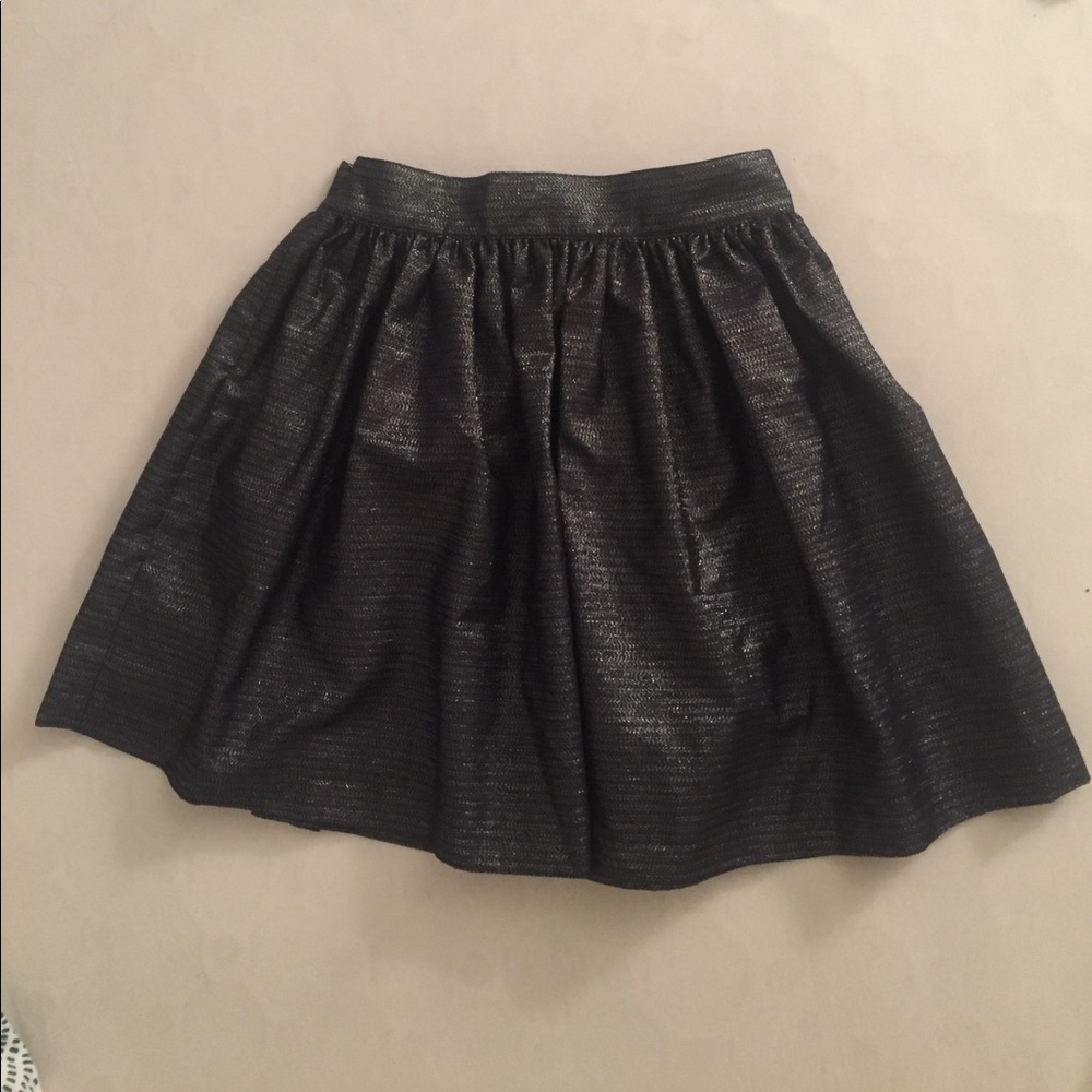 Silver Joie Mini Skirt