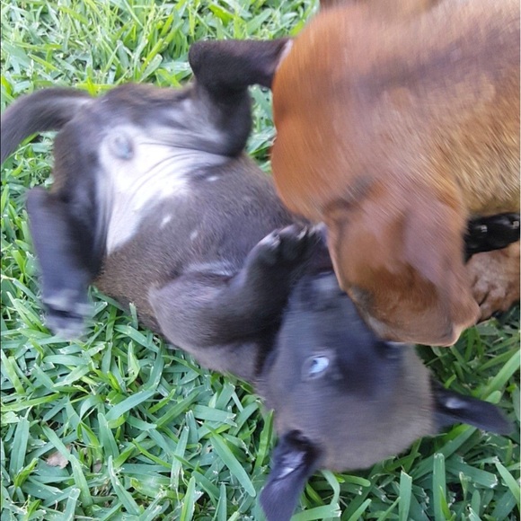 💓 meet the seller 💓 - Picture 5 of 8