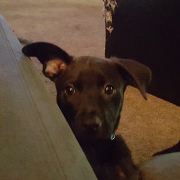 💓 meet the seller 💓 - Picture 3 of 8