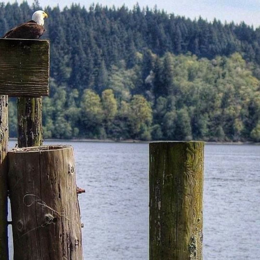 Meet your Posher, Melynda