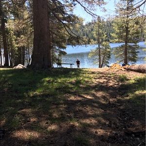 Meet your Posher, Freddie