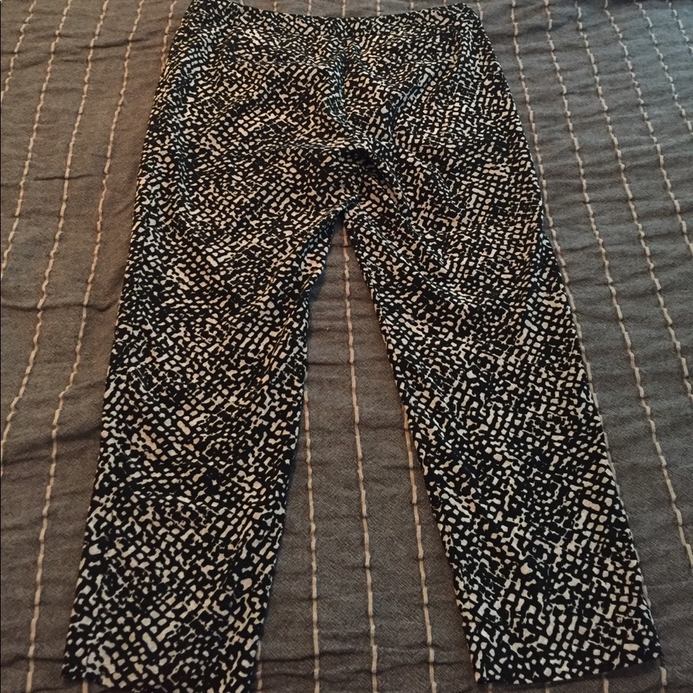 Fancy pants! - Picture 2 of 2