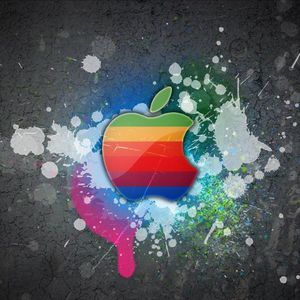 Meet your Posher, Karla