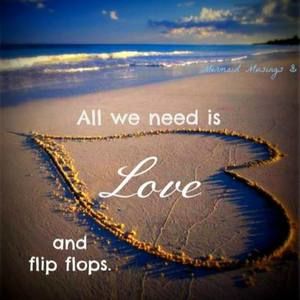 Meet your Posher, Gidget