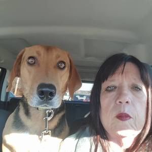 Meet your Posher, Bonnie