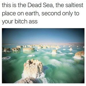 Meet your Posher, Telicia