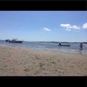 Meet your Posher, Alison