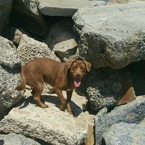 Meet your Posher, Amado