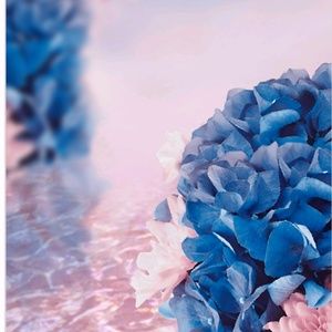 Meet your Posher, Enrika