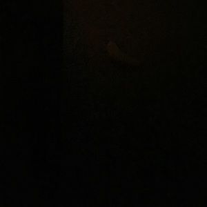 Meet your Posher, Kendall