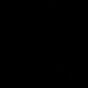 Meet your Posher, Aminah