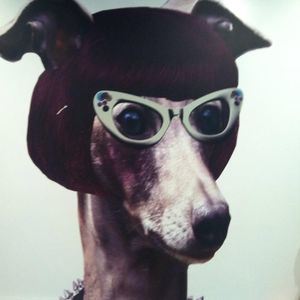 Meet your Posher, Janet