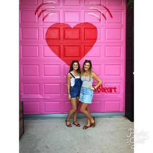 Meet your Posher, Sammie