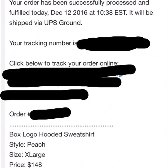 Supreme Box Logo Hoodie (Peach) - Picture 4 of 6