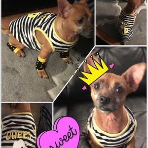 Meet your Posher, Giannie