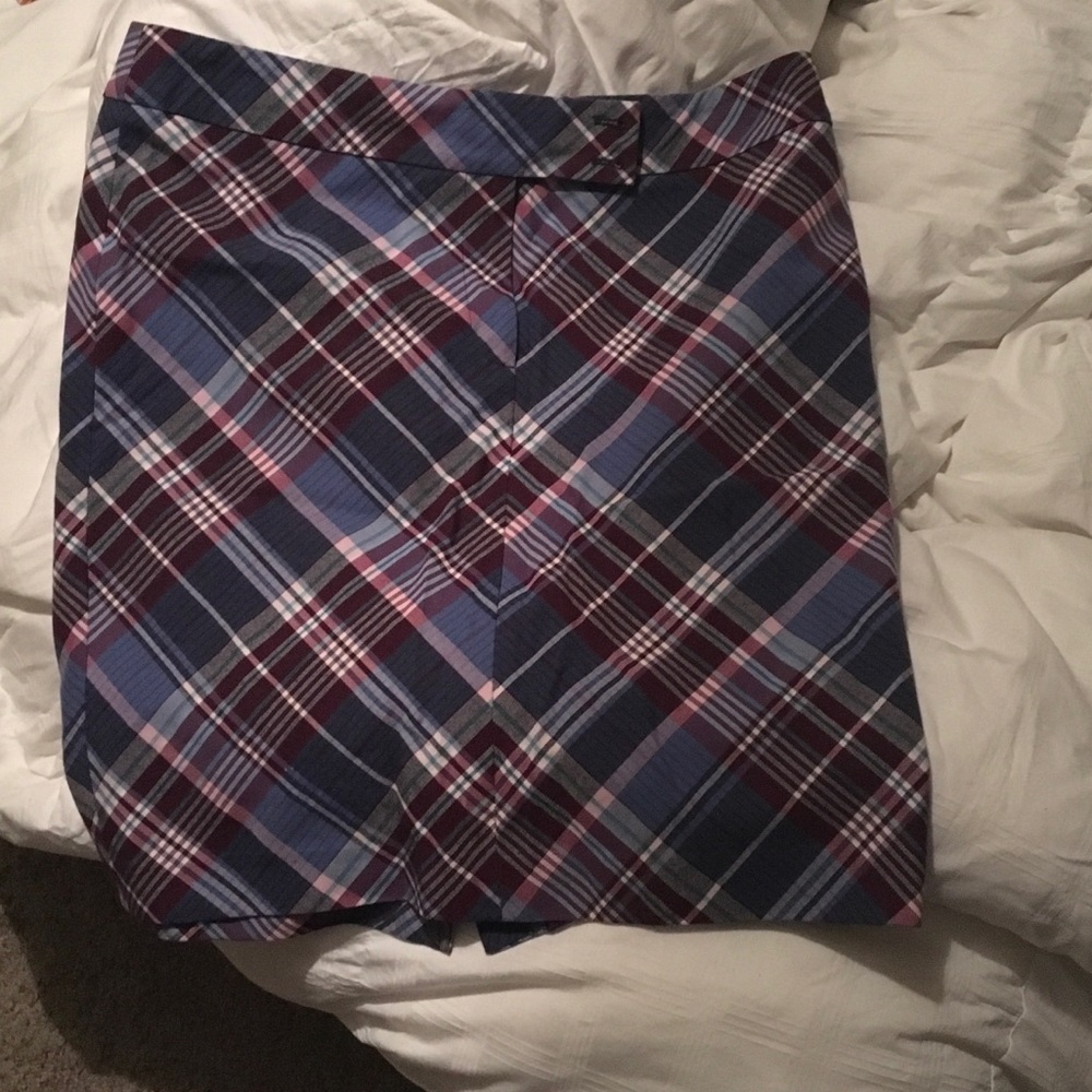 Ann Taylor skirt