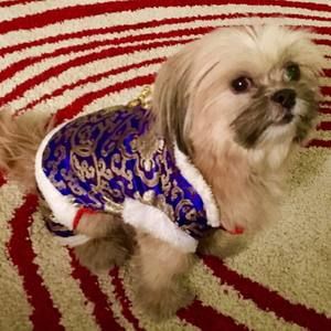 Meet your Posher, Rose