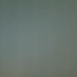 Meet your Posher, Servando