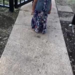 Meet your Posher, Javier