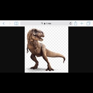 Meet your Posher, Jill