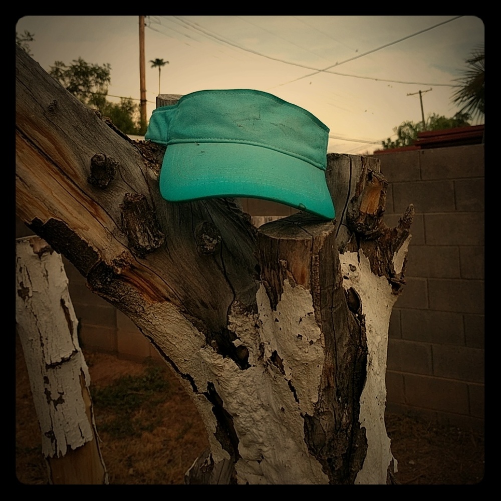 Visor
