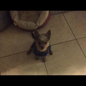 Meet your Posher, Nancy