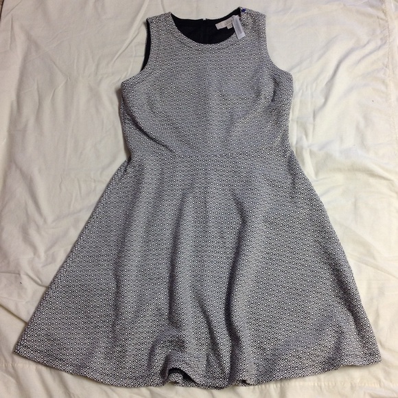 LOFT Dresses & Skirts - Lovely Loft B&W dress size 6