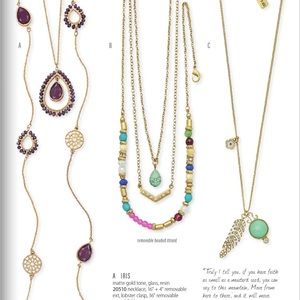 Premier Jewelry - Iris Necklace