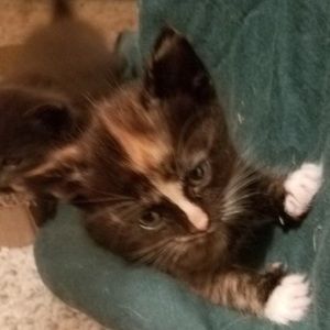 Meet your Posher, Megan