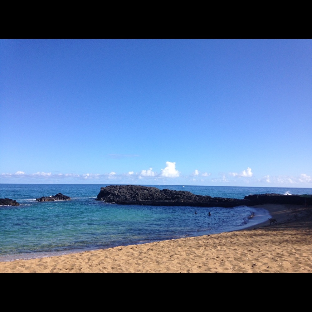 Meet your Posher, Maddie