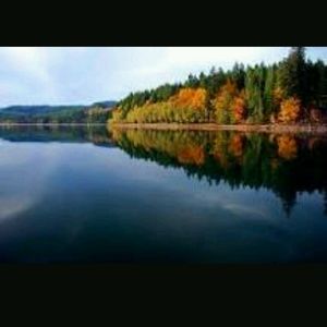 Meet your Posher, Cynthia