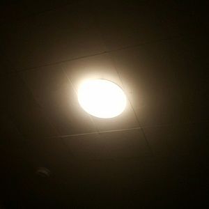 Meet your Posher, Dany