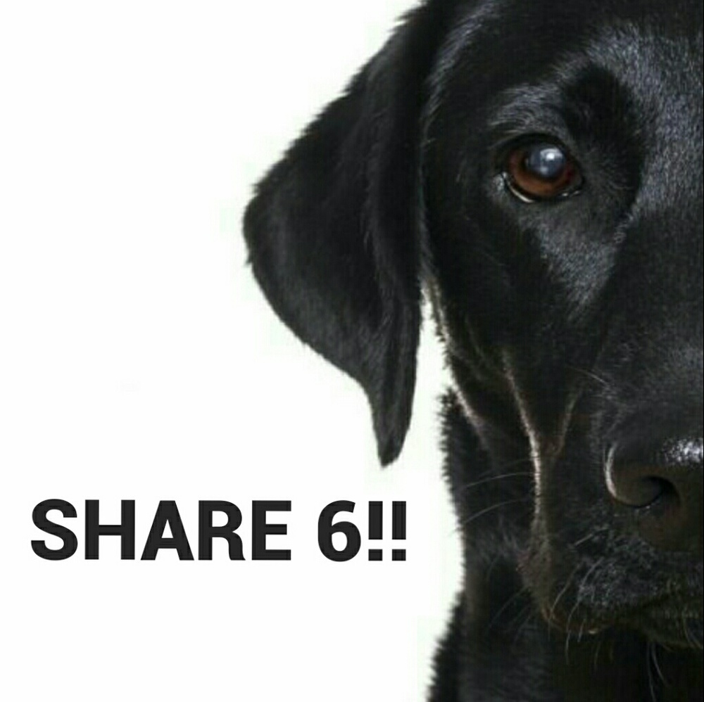 Share 6 & I'll Share Your 6! - NOW! 🙋