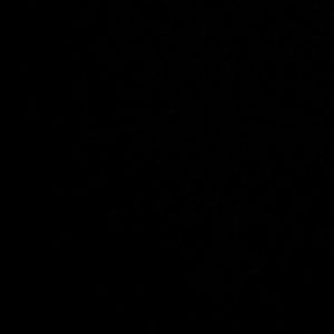 Meet your Posher, Adrian