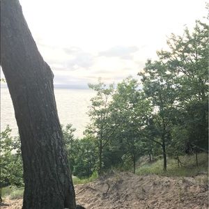 Meet your Posher, Zachary