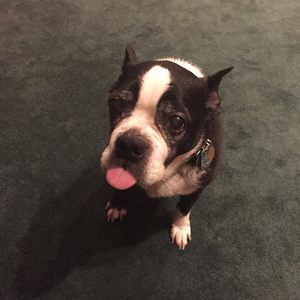 Meet your Posher, Beth