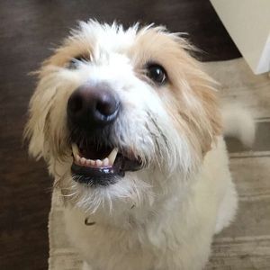 Meet your Posher, Steve