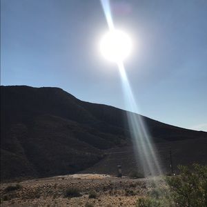 Meet your Posher, Elli