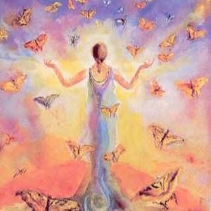 Meet your Posher, Bonnie