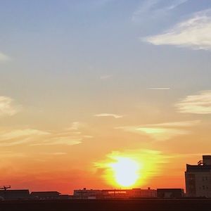 Meet your Posher, Phoenix