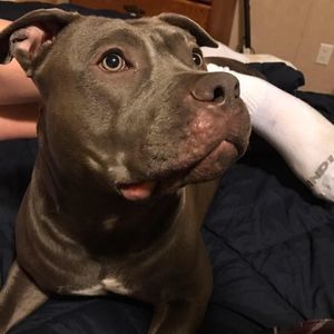 Meet your Posher, Beverly