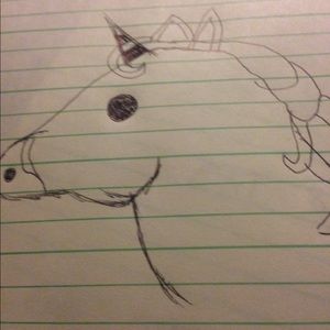 Meet your Posher, Cecilia