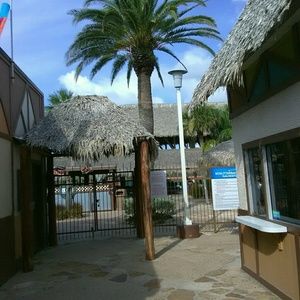 Meet your Posher, Tomikia