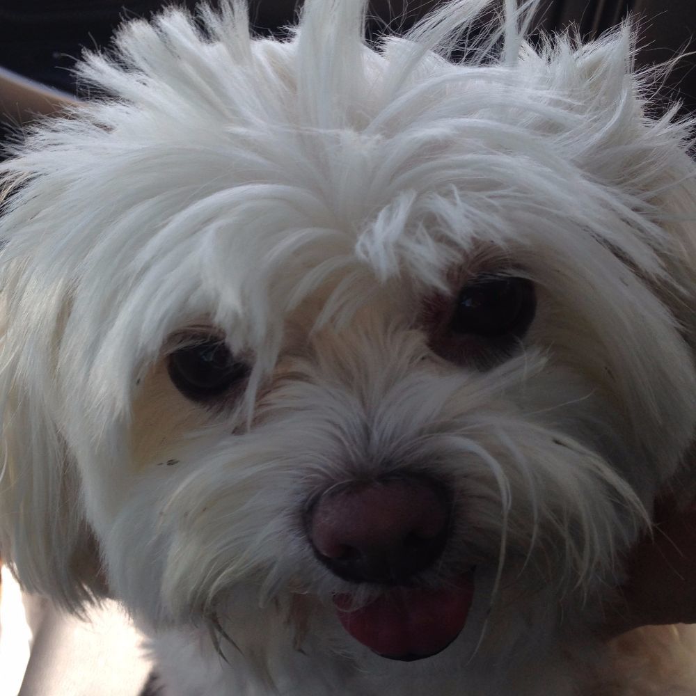 Meet your Posher, Nikki