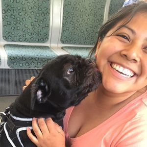 Meet your Posher, Monica